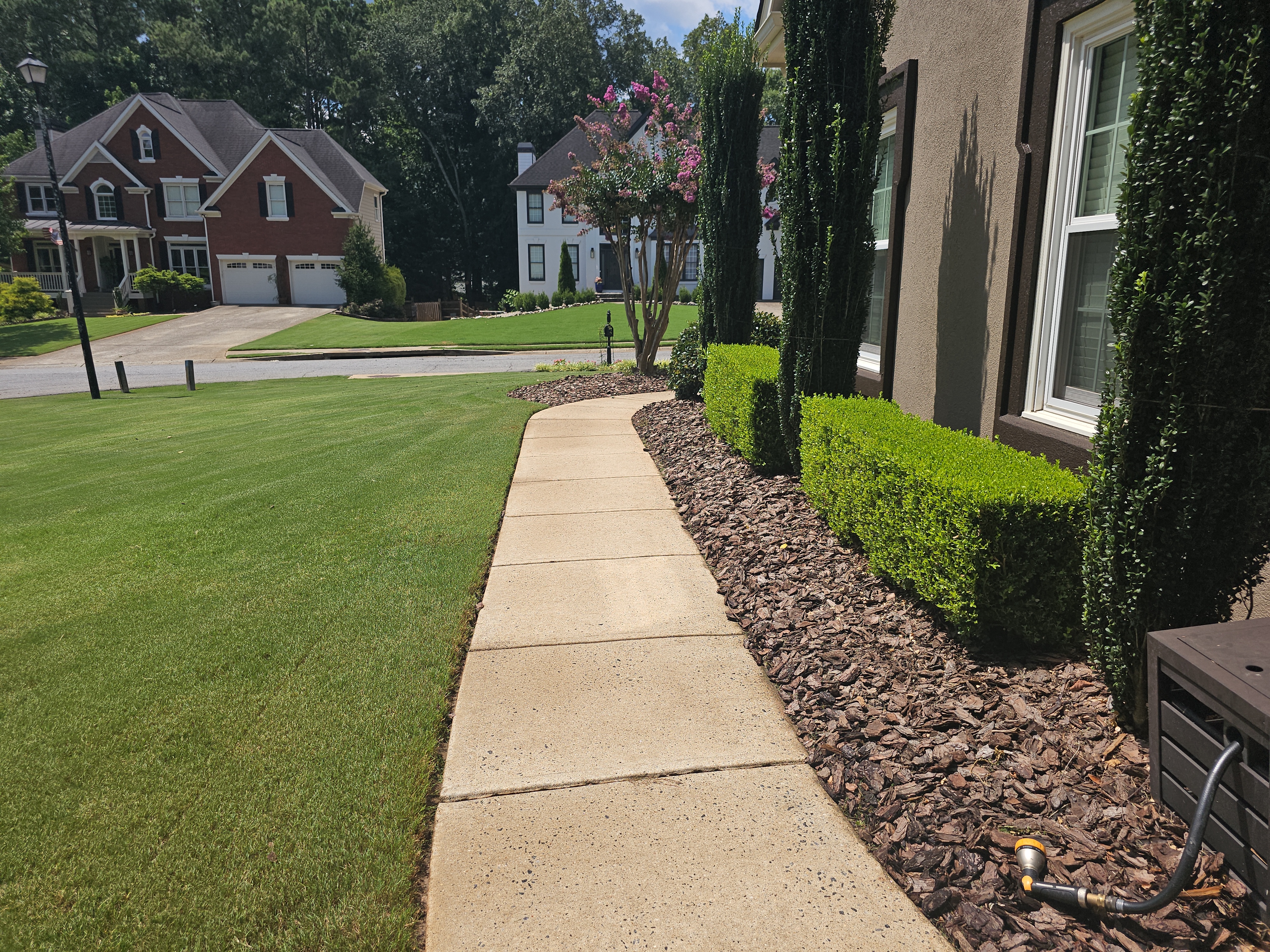 Concrete sidewalk along the front of a residential home in Alpharetta, GA after pressure washing, with manicured landscaping alongside.