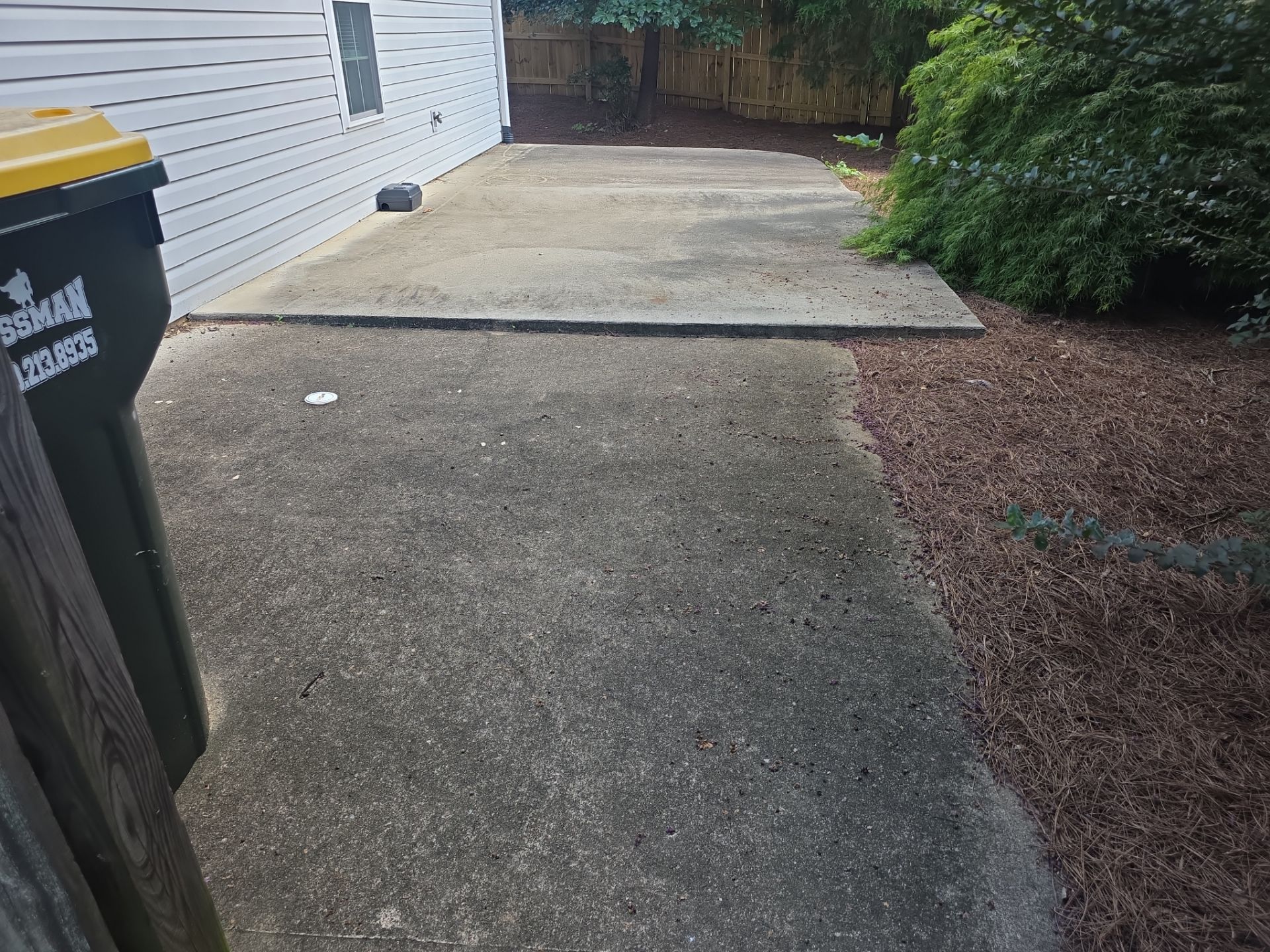Rear concrete patio and side pad at a Woodstock, GA home showing dark discoloration and organic buildup before cleaning.