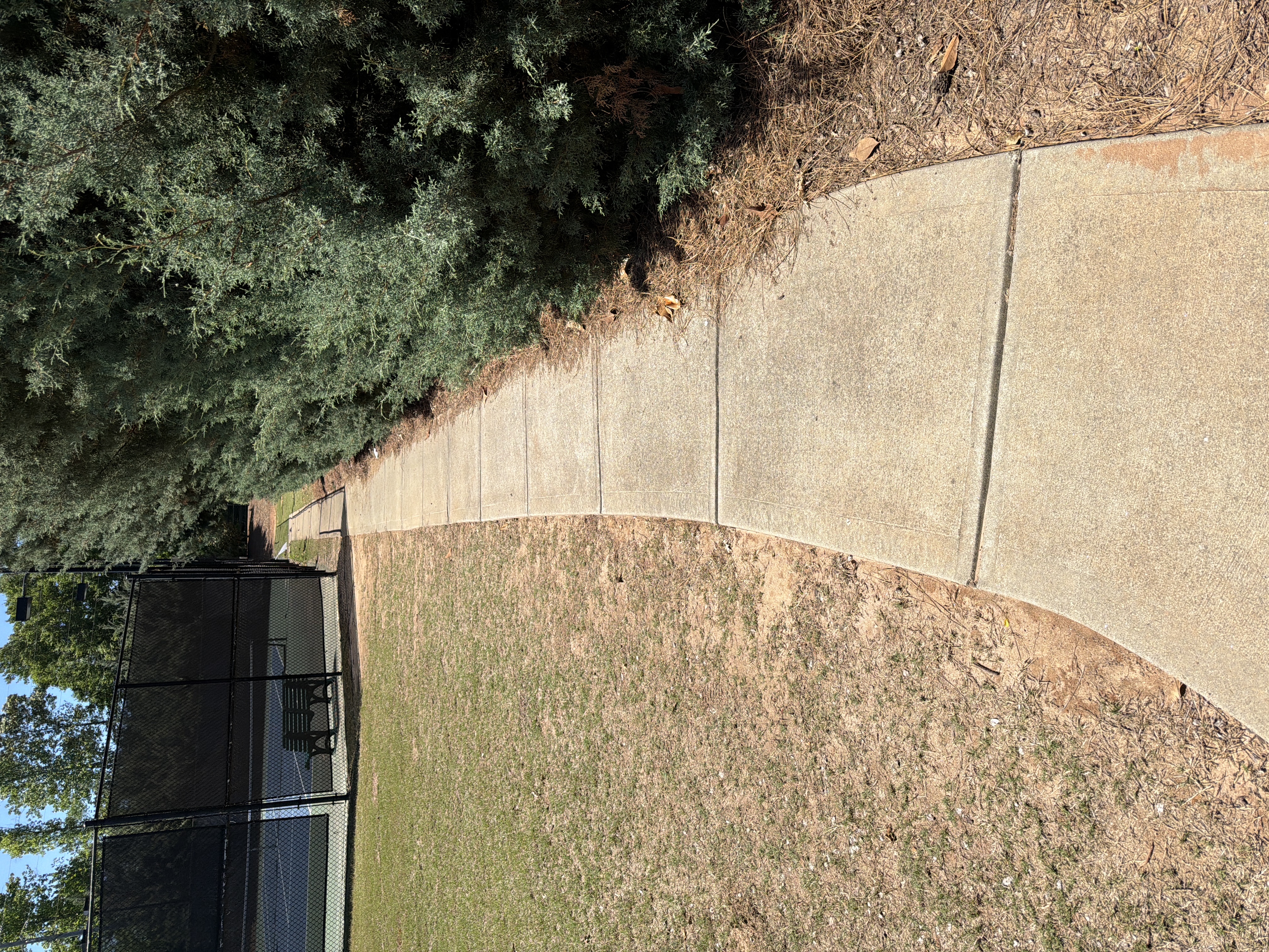 Concrete walkway beside tennis courts showing dirt and discoloration before pressure washing in Canton, GA