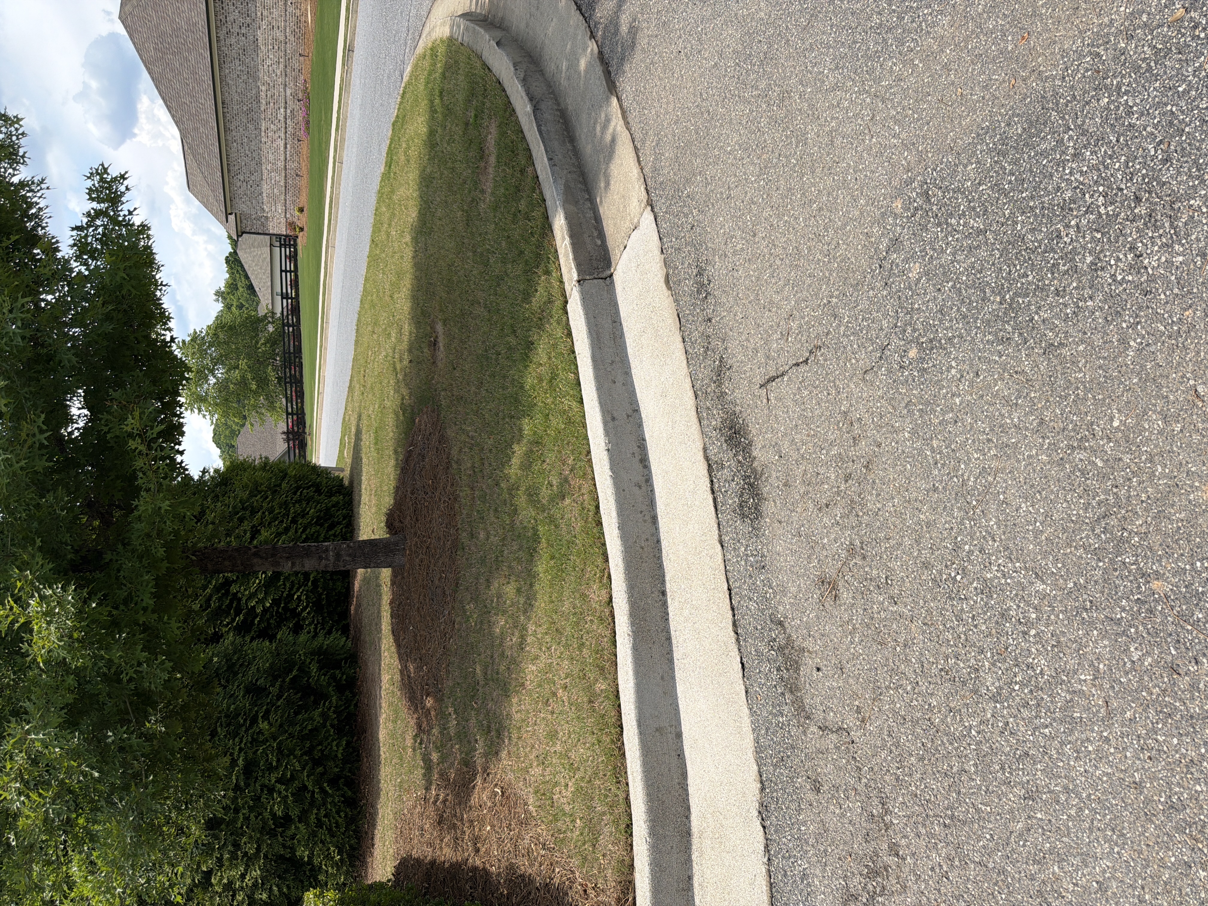 Freshly pressure-washed concrete curb along a commercial parking area in Canton, GA, showing clean light-colored concrete