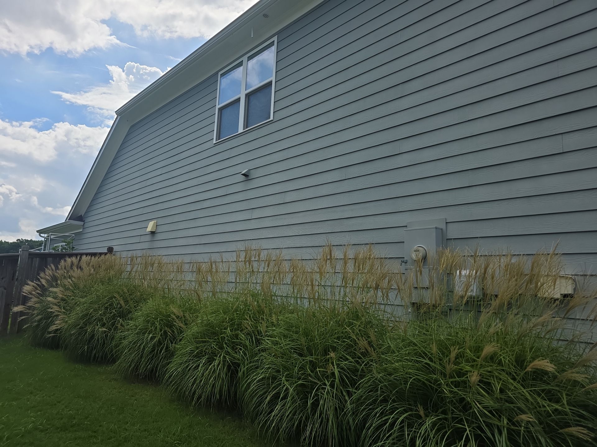 Side wall of a gray vinyl-sided home with ornamental grasses along the foundation at a house washing job in Canton, GA.
