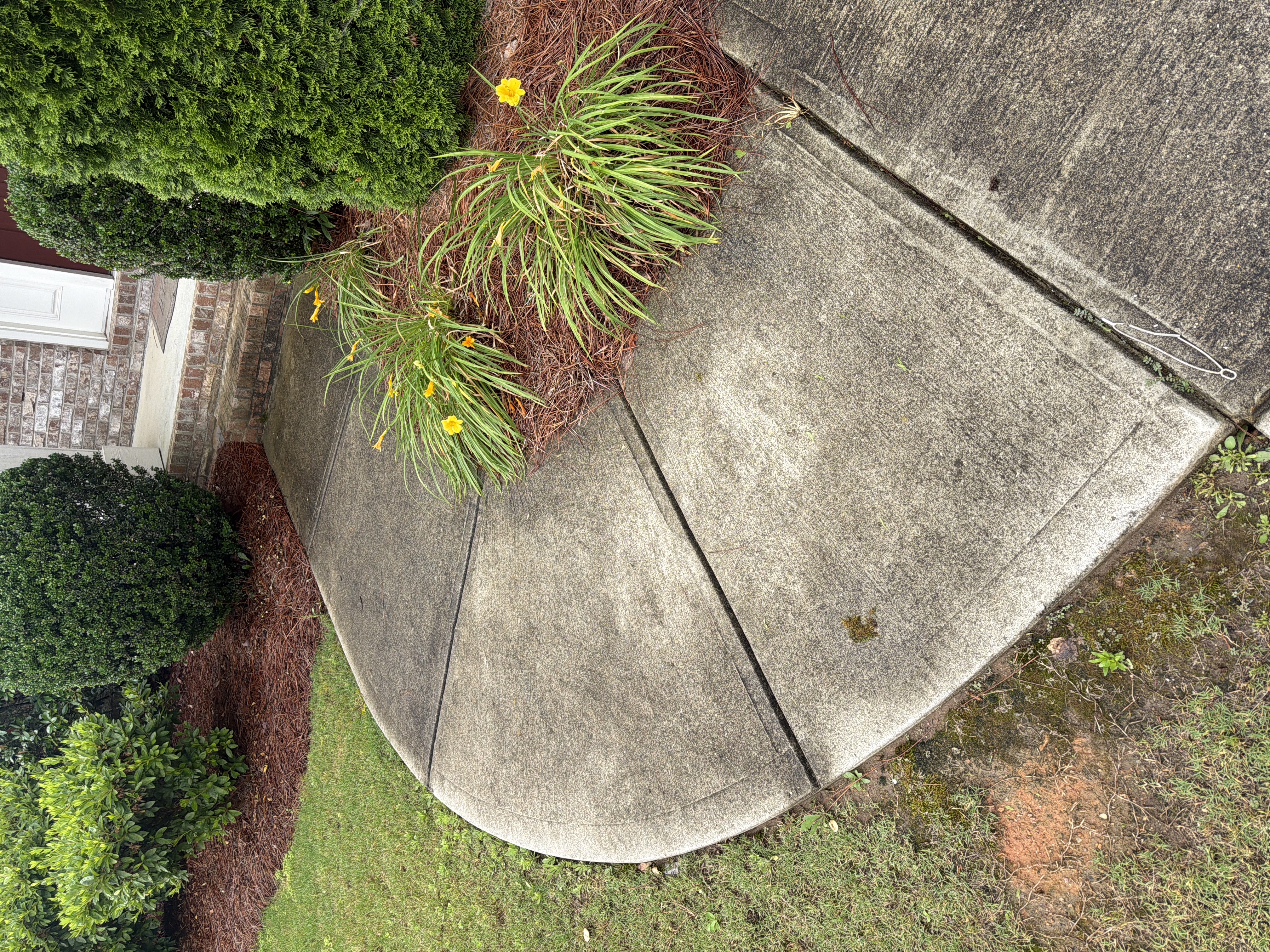 Curved concrete front walkway with algae and dirt buildup before pressure washing in Cumming, GA